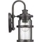 Progress Lighting Haslett Collection One-Light Small Wall Lantern P560094-103 - alternate 2